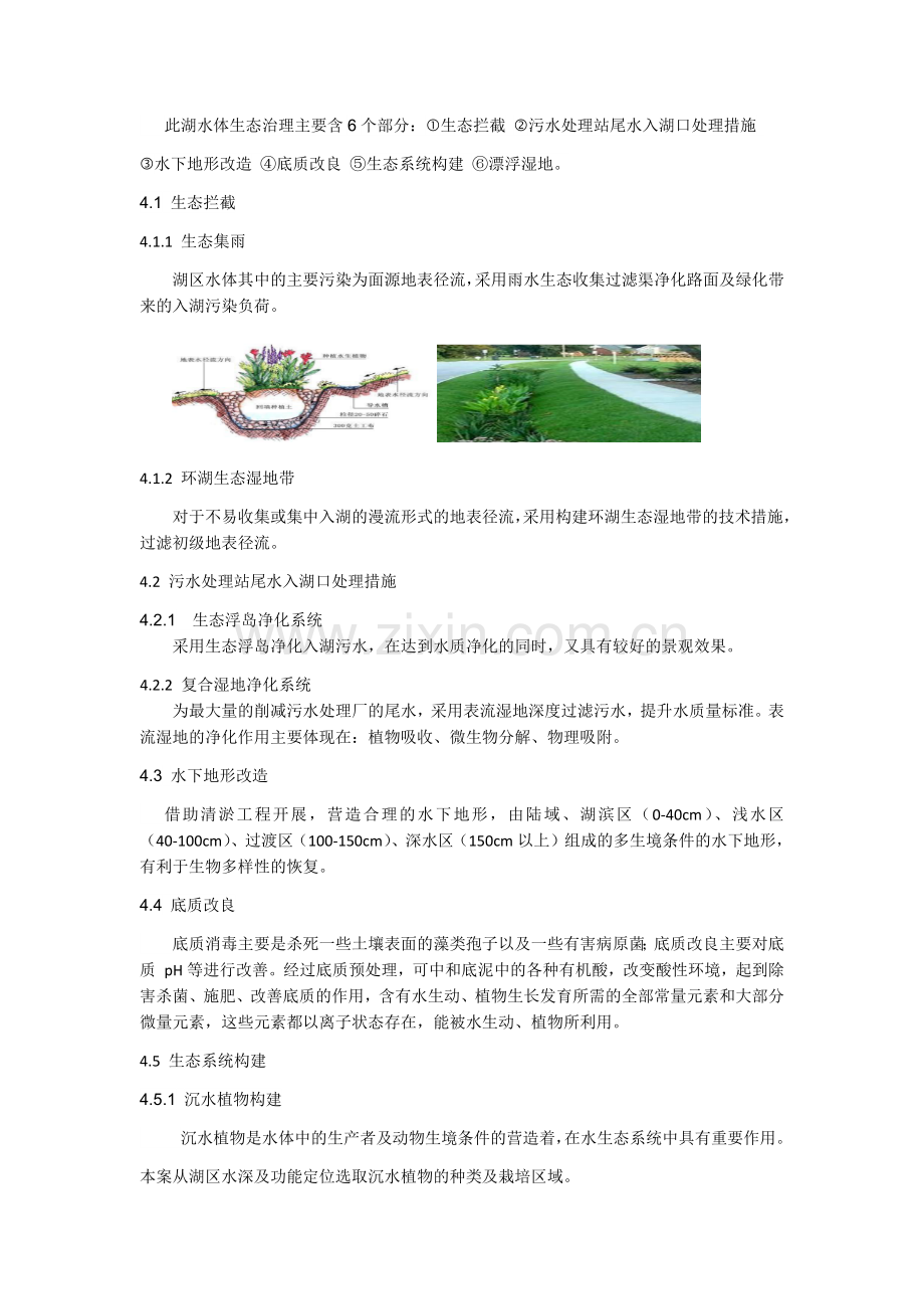 生态修复技术在湖泊污染治理中的应用.doc_第2页