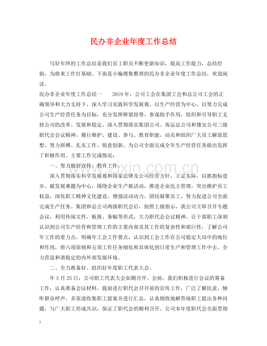 民办非企业年度工作总结.docx_第1页