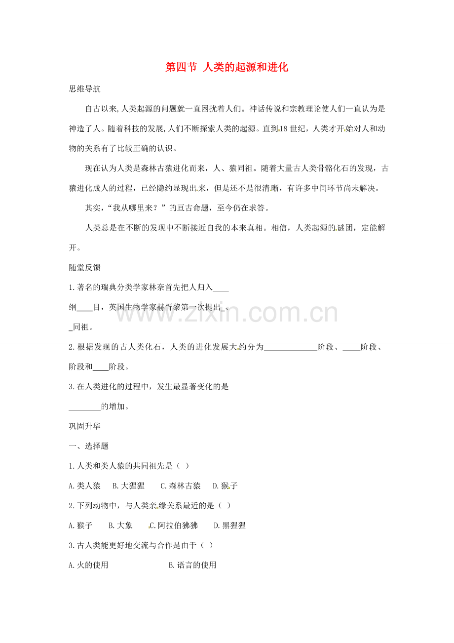 八年级生物上册 第24章第4节 人类的起源和进化 教案 苏教版.doc_第1页