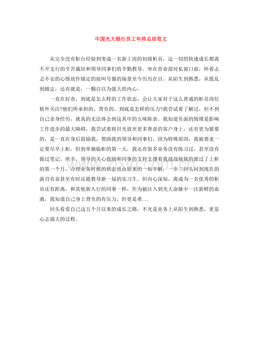 中国光大银行员工年终总结范文.docx_第1页
