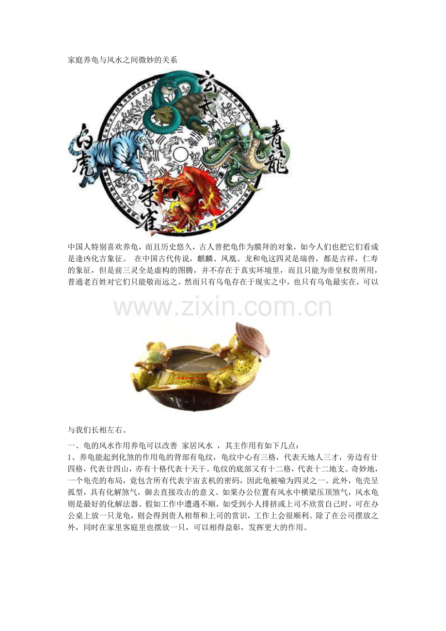 家庭养龟与风水之间微妙的关系.doc_第1页