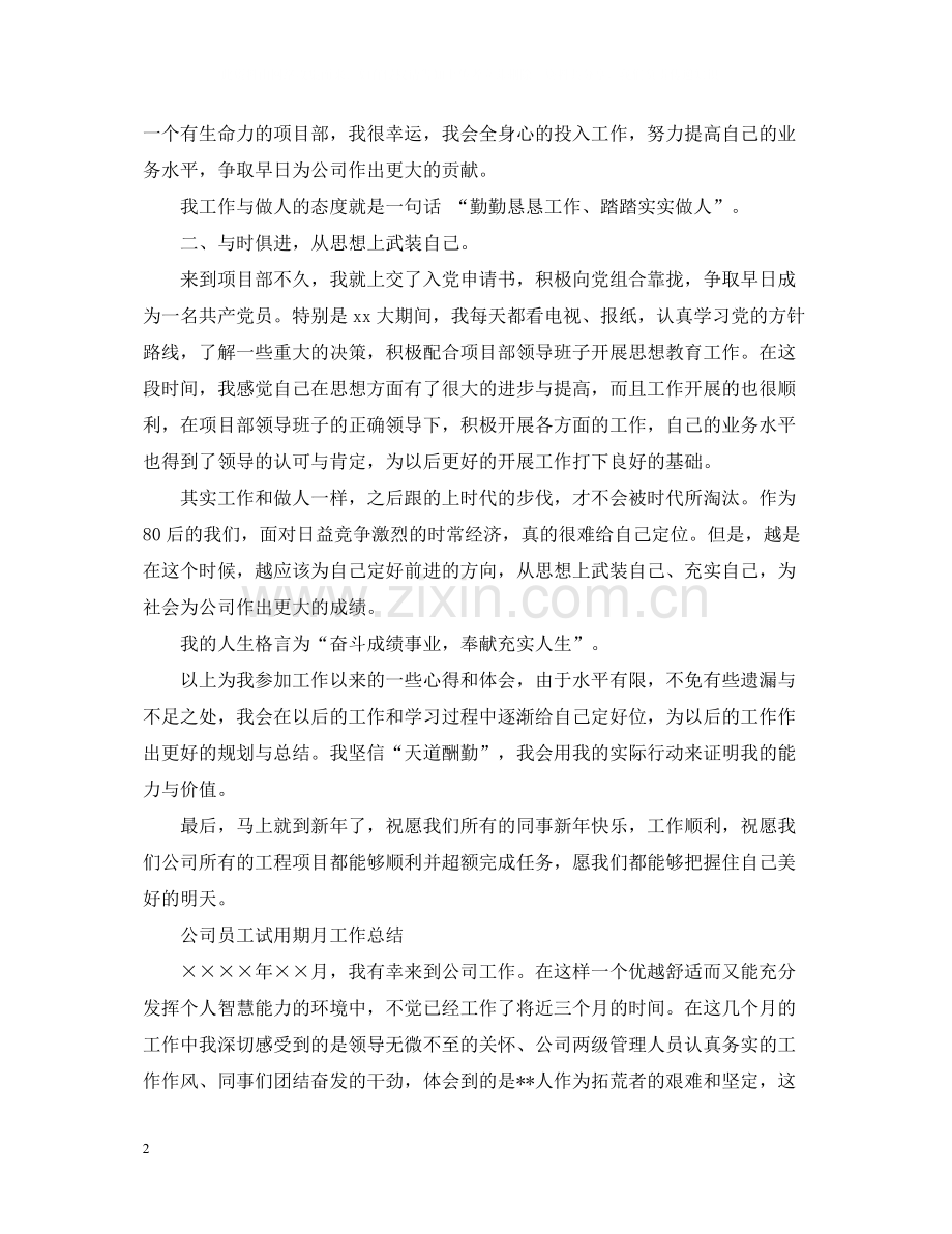 试用期工作总结.docx_第2页