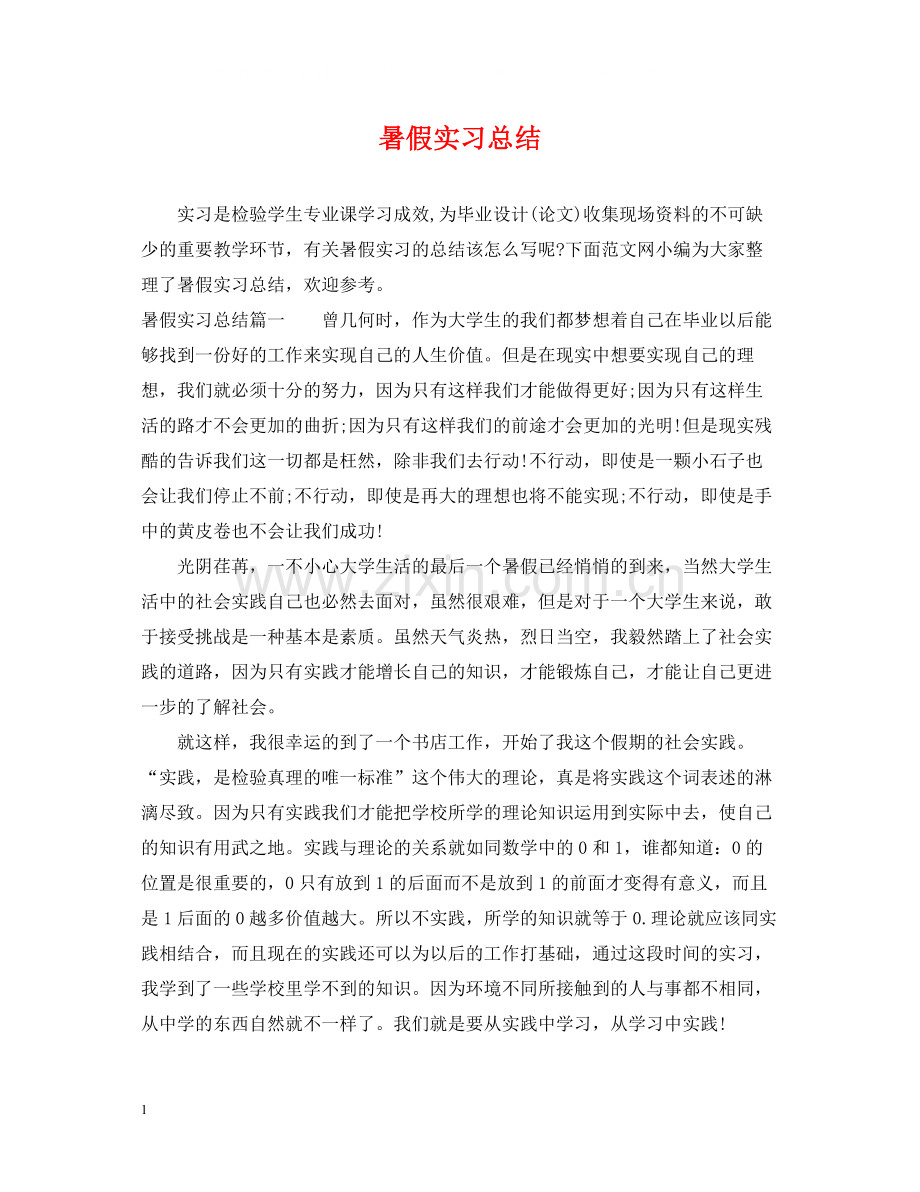 暑假实习总结.docx_第1页