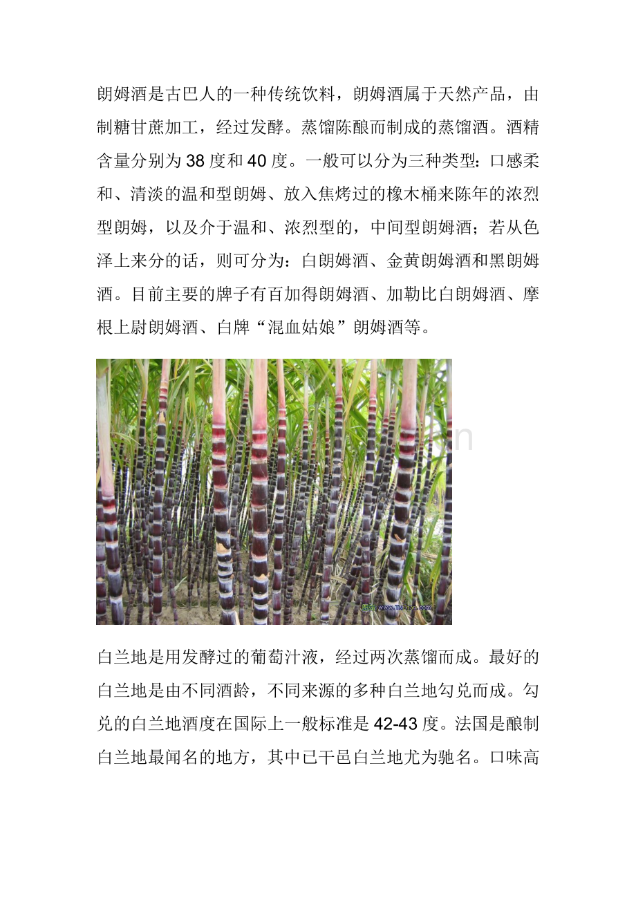 世界五大蒸馏酒.doc_第1页