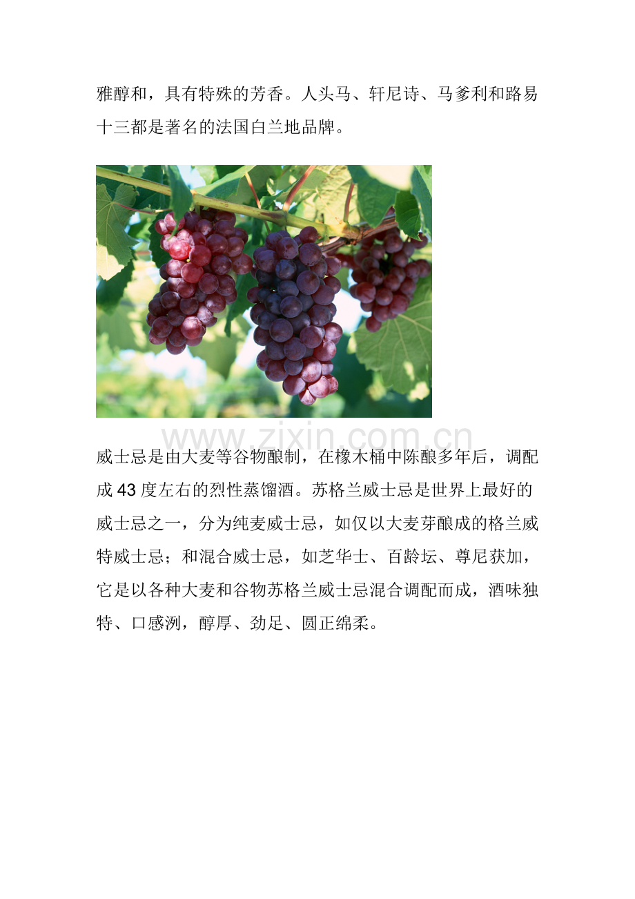 世界五大蒸馏酒.doc_第2页