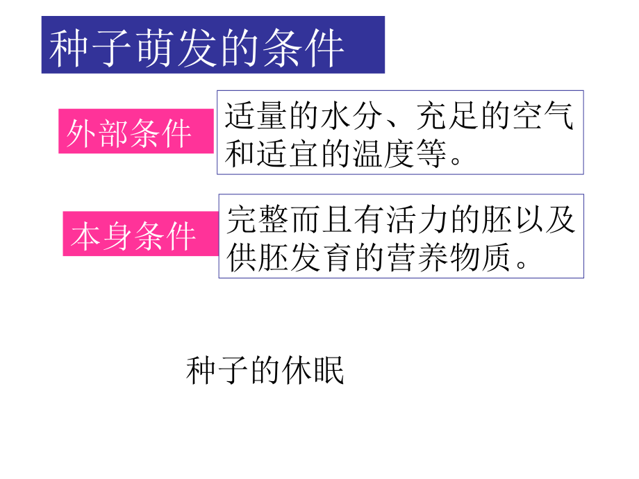 济南版第四节种子的萌发.ppt_第2页