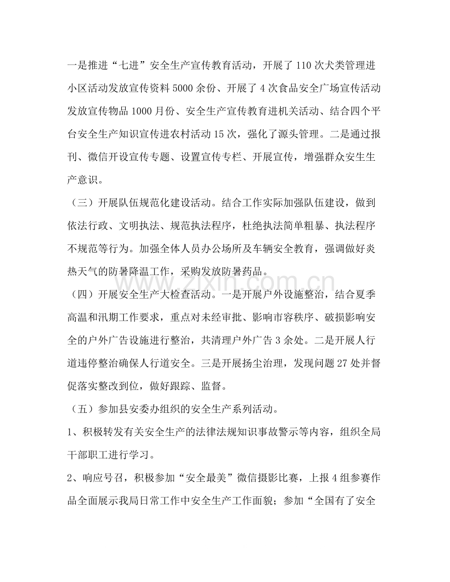 县综合行政执法局年安全生产月活动小结.docx_第2页