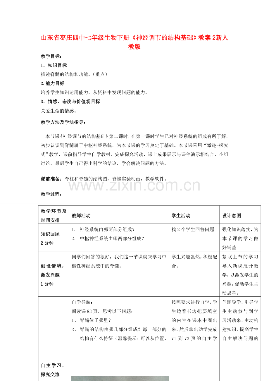 山东省枣庄四中七年级生物下册《神经调节的结构基础》教案2 新人教版.doc_第1页