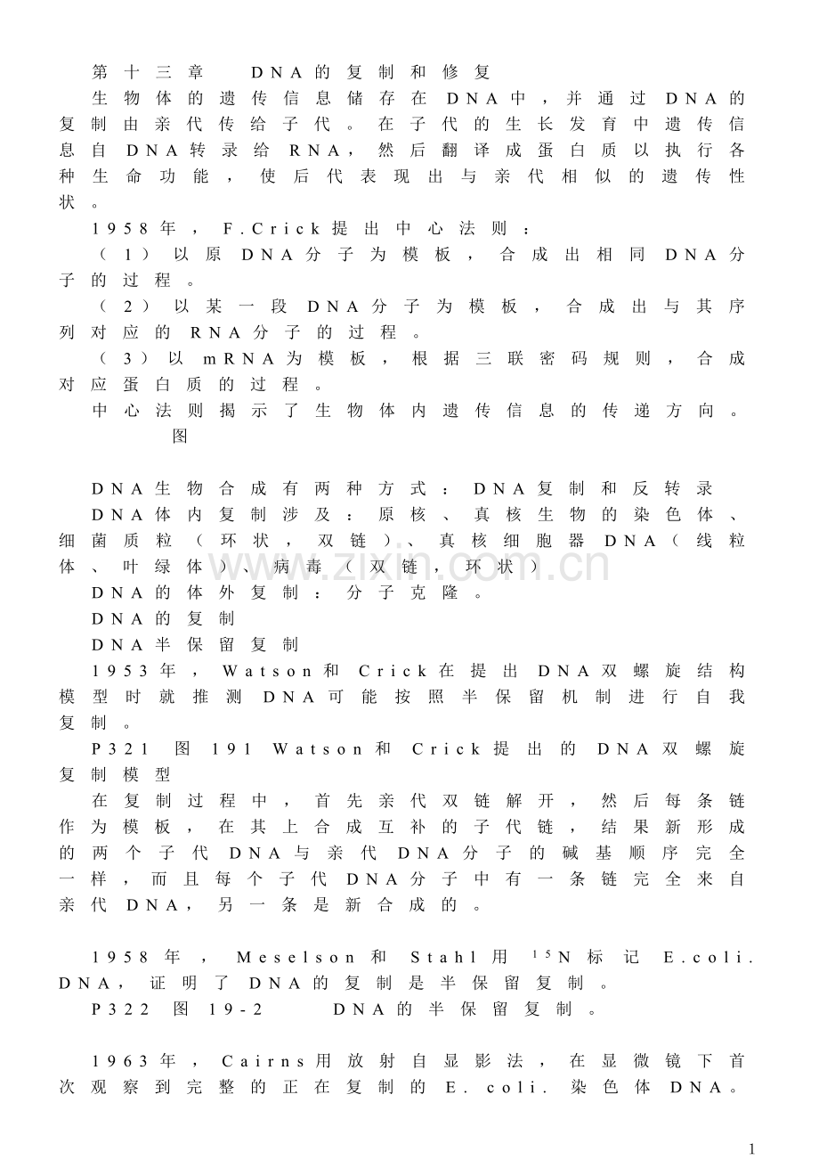 第十三章 DNA的复制和修复.doc_第1页