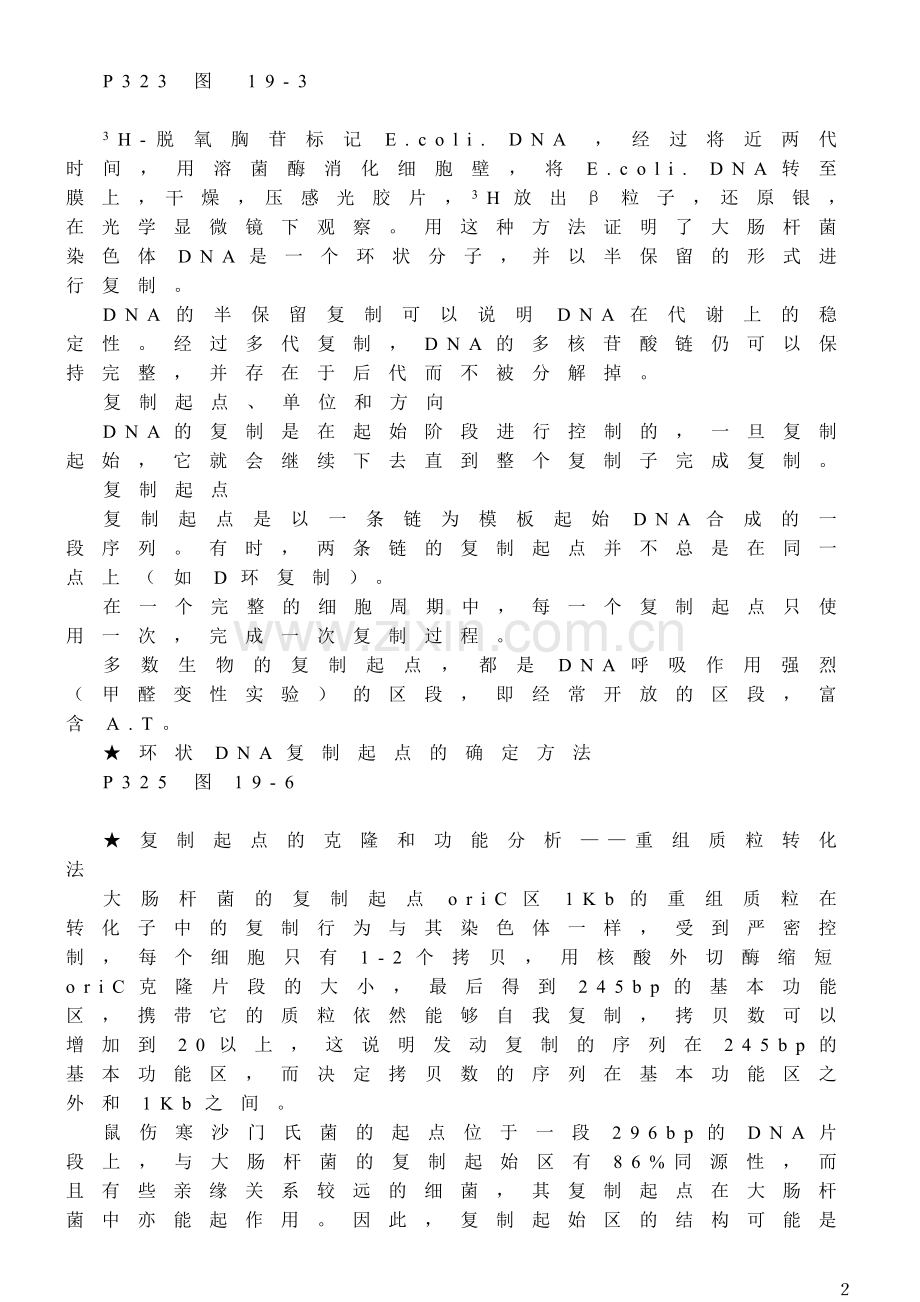 第十三章 DNA的复制和修复.doc_第2页