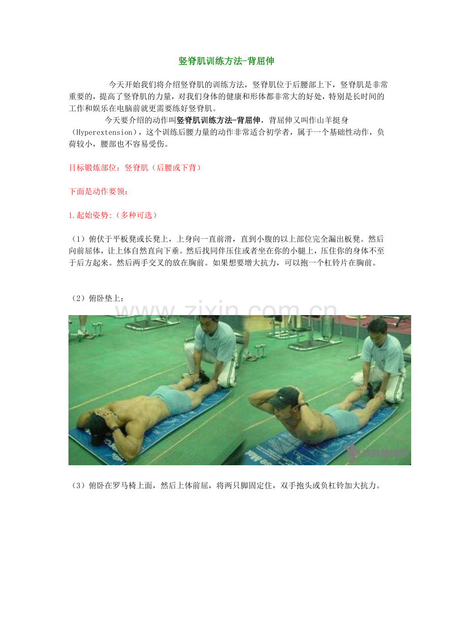 竖脊肌训练方法.doc_第1页