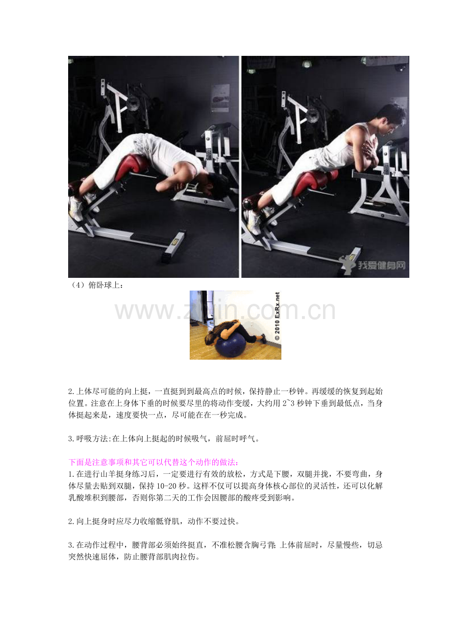 竖脊肌训练方法.doc_第2页