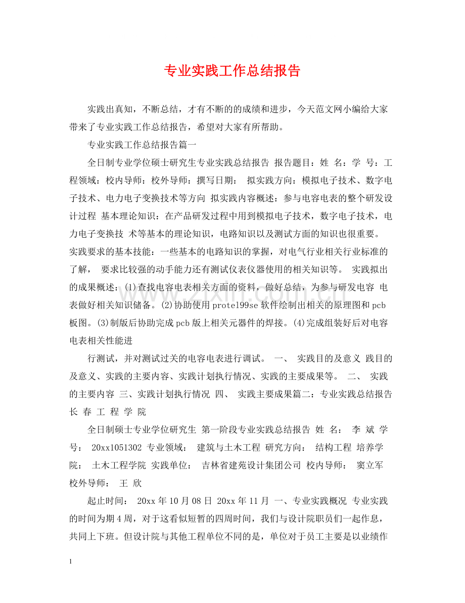 专业实践工作总结报告.docx_第1页