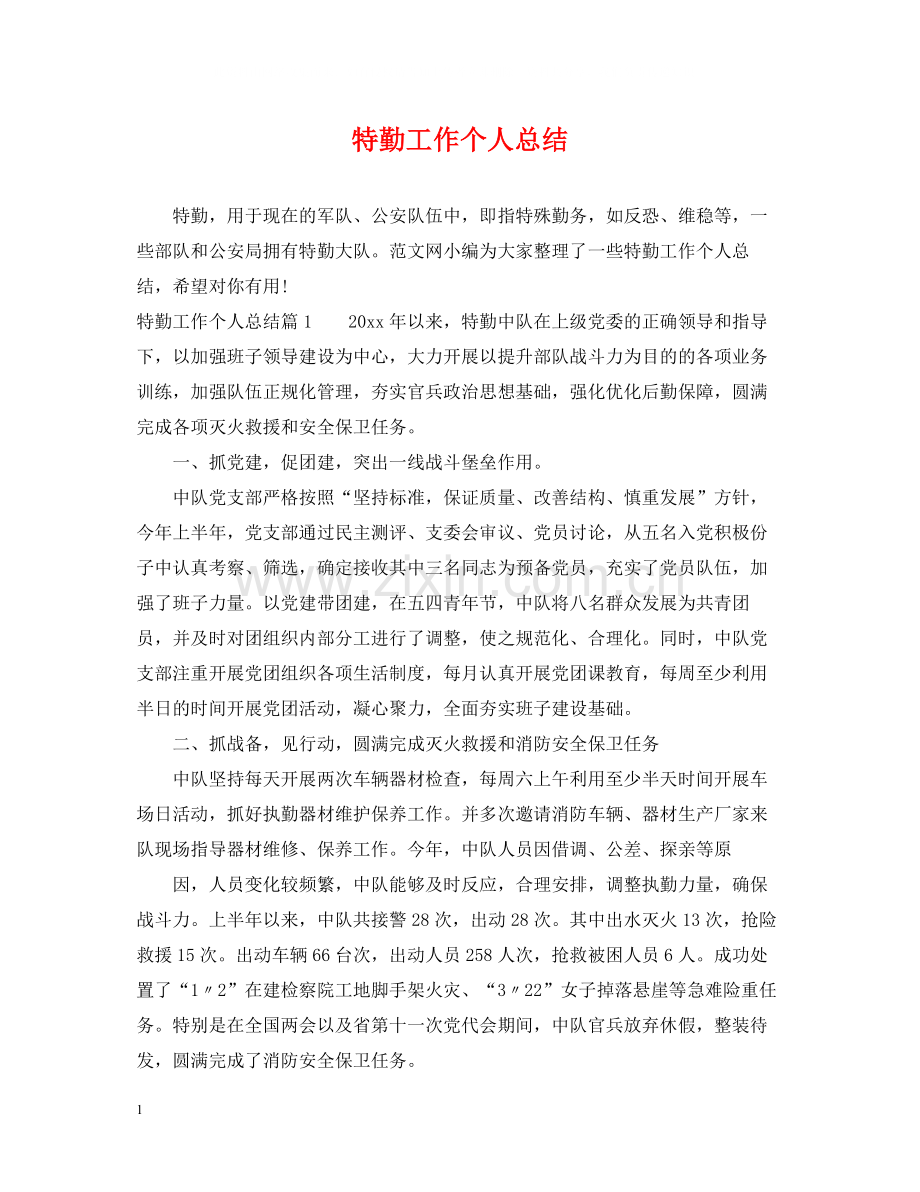 特勤工作个人总结.docx_第1页