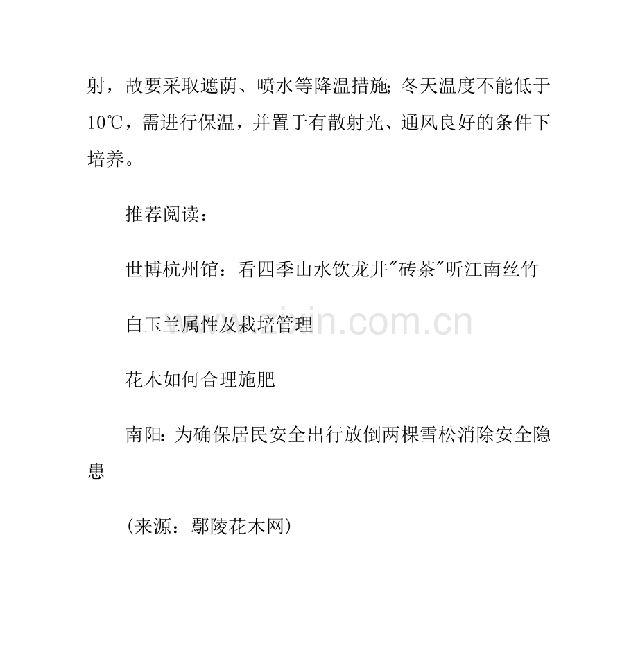 银星秋海棠养护要点.doc_第2页