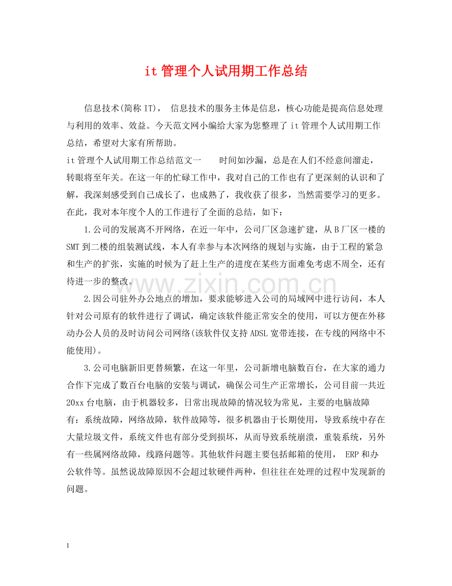 it管理个人试用期工作总结.docx_第1页