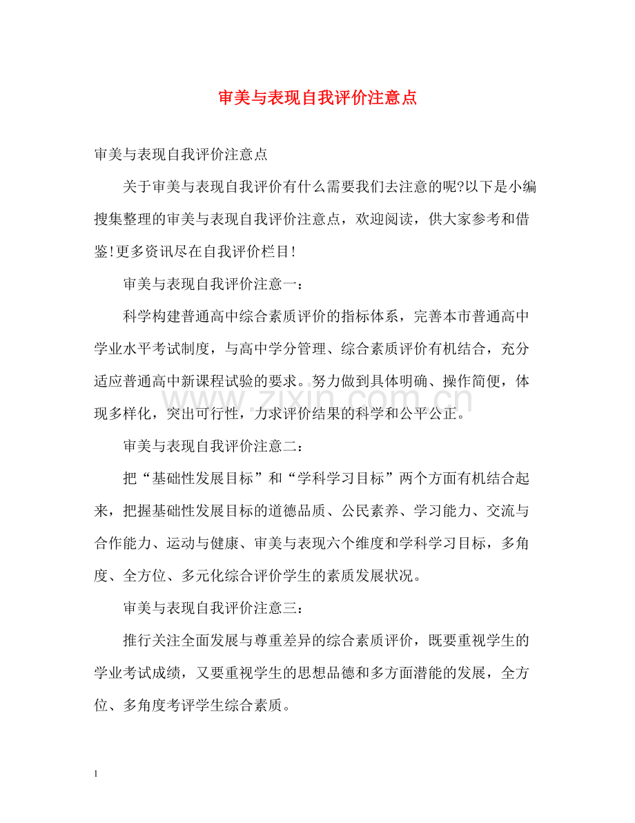 审美与表现自我评价注意点.docx_第1页