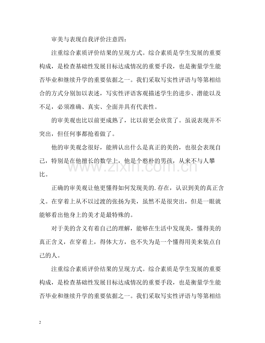 审美与表现自我评价注意点.docx_第2页