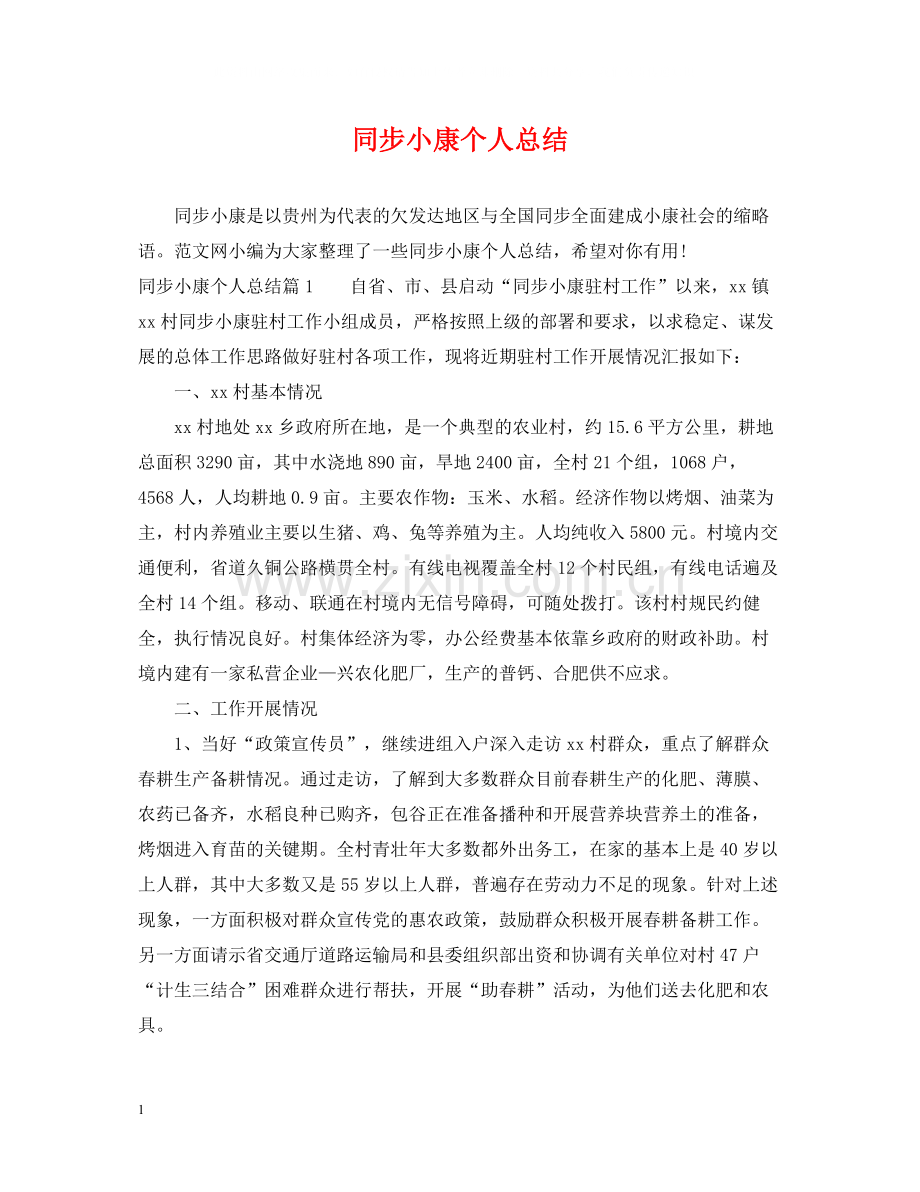 同步小康个人总结.docx_第1页