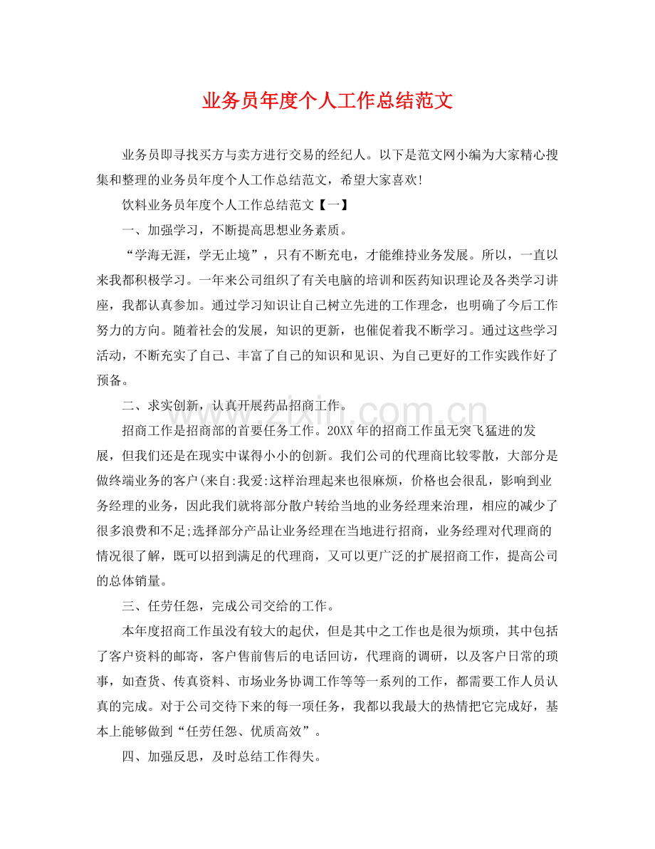 业务员年度个人工作总结范文 .docx_第1页