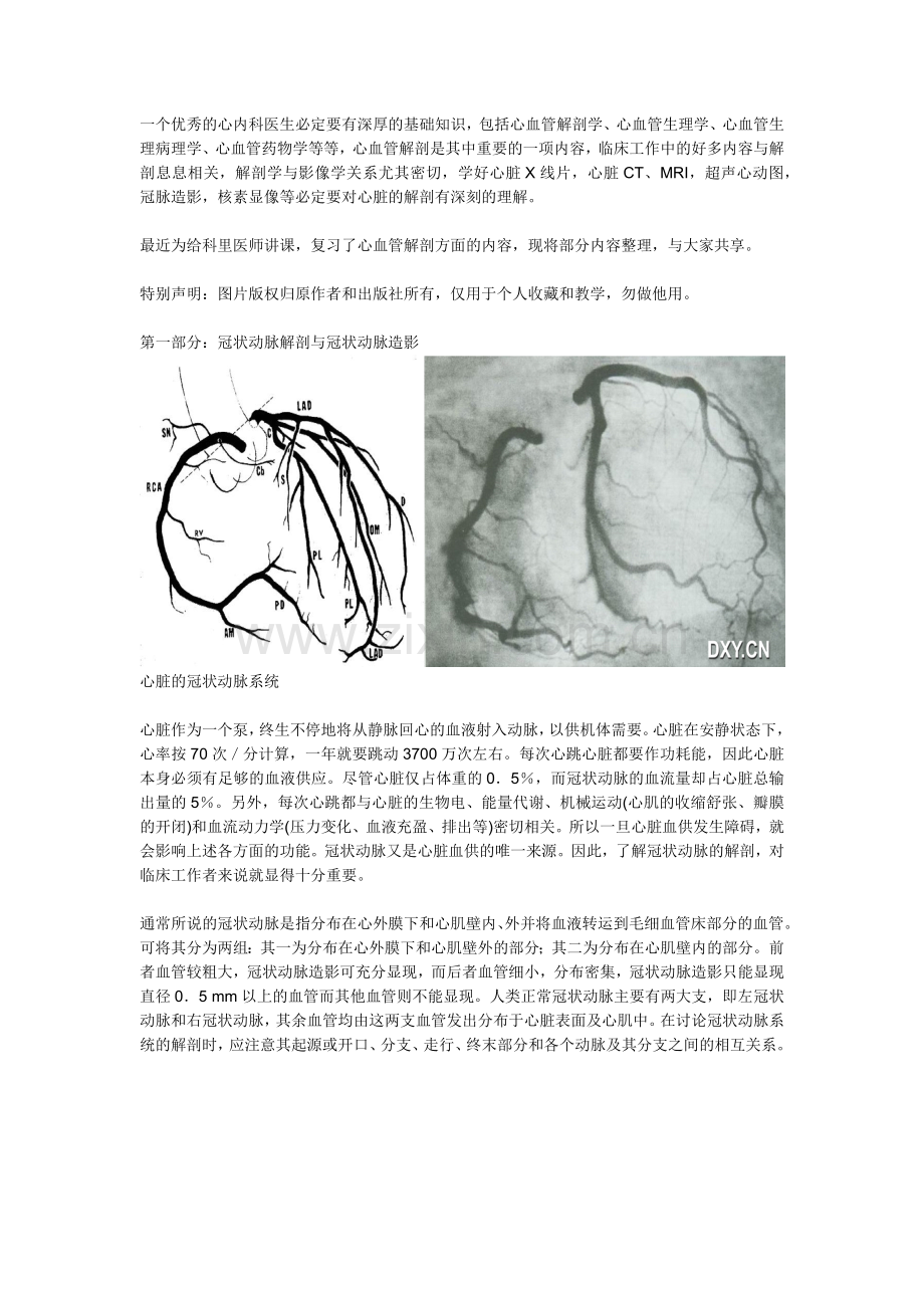 冠脉造影 完.docx_第1页