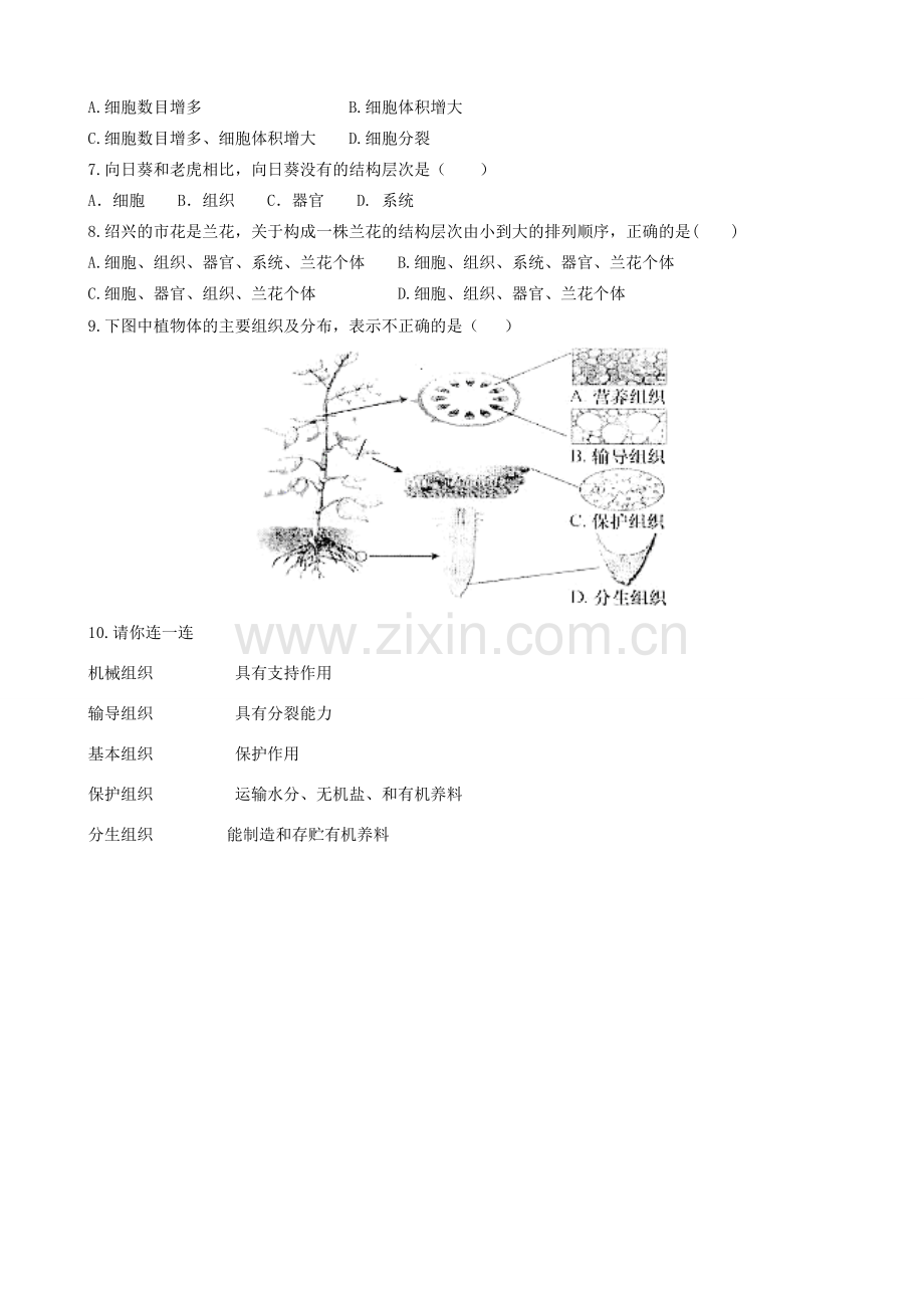 江苏省连云港东海县平明镇中学七年级生物下册 9.1 植物体的组成复习教案 苏科版.doc_第2页