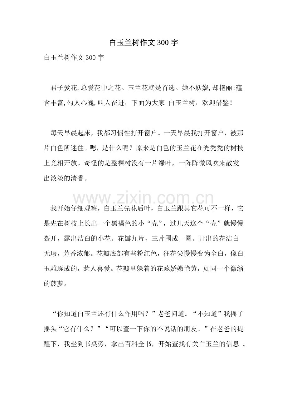 2022年白玉兰树作文300字.doc_第1页