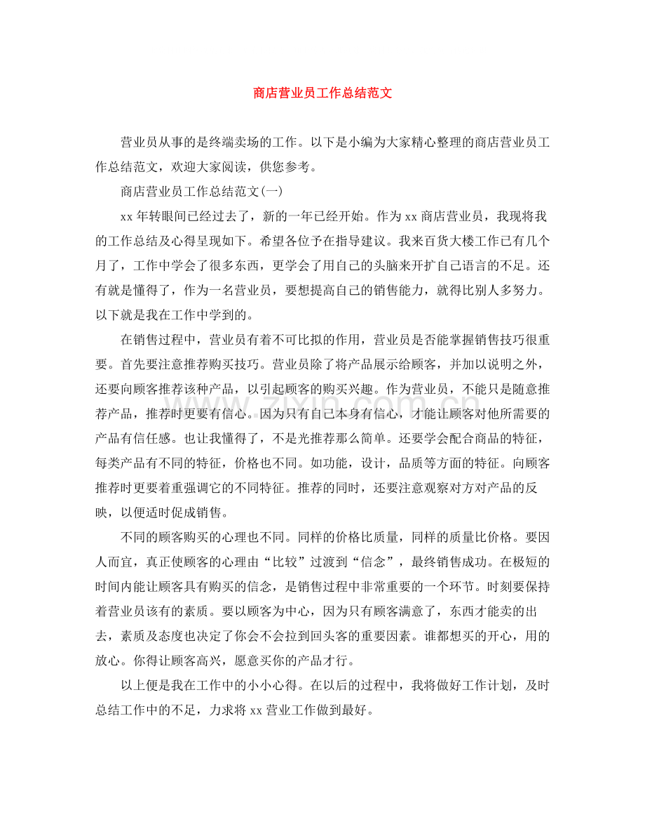 商店营业员工作总结范文.docx_第1页
