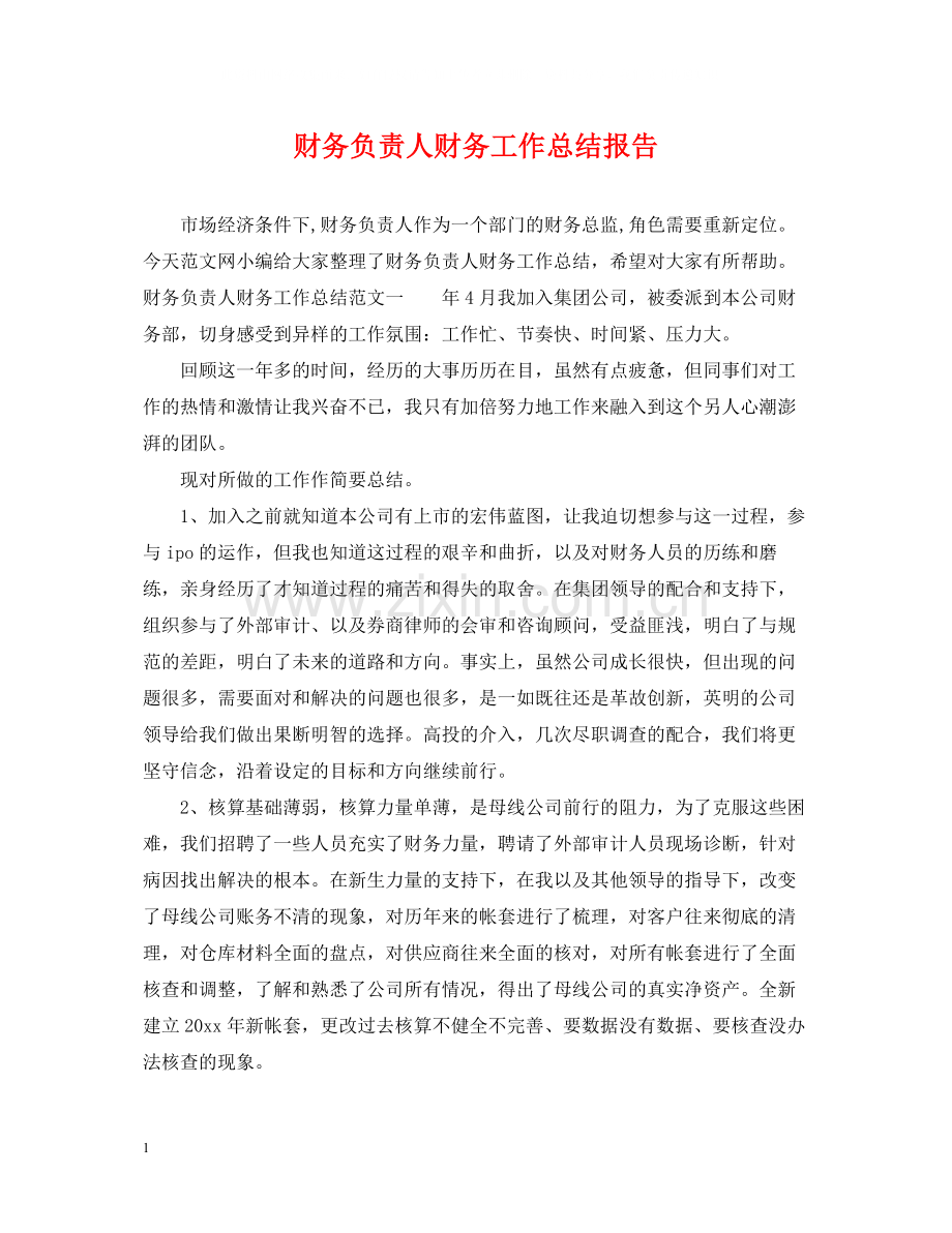 财务负责人财务工作总结报告.docx_第1页