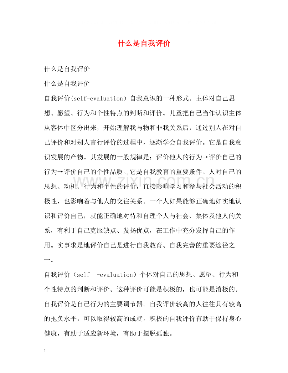 什么是自我评价.docx_第1页