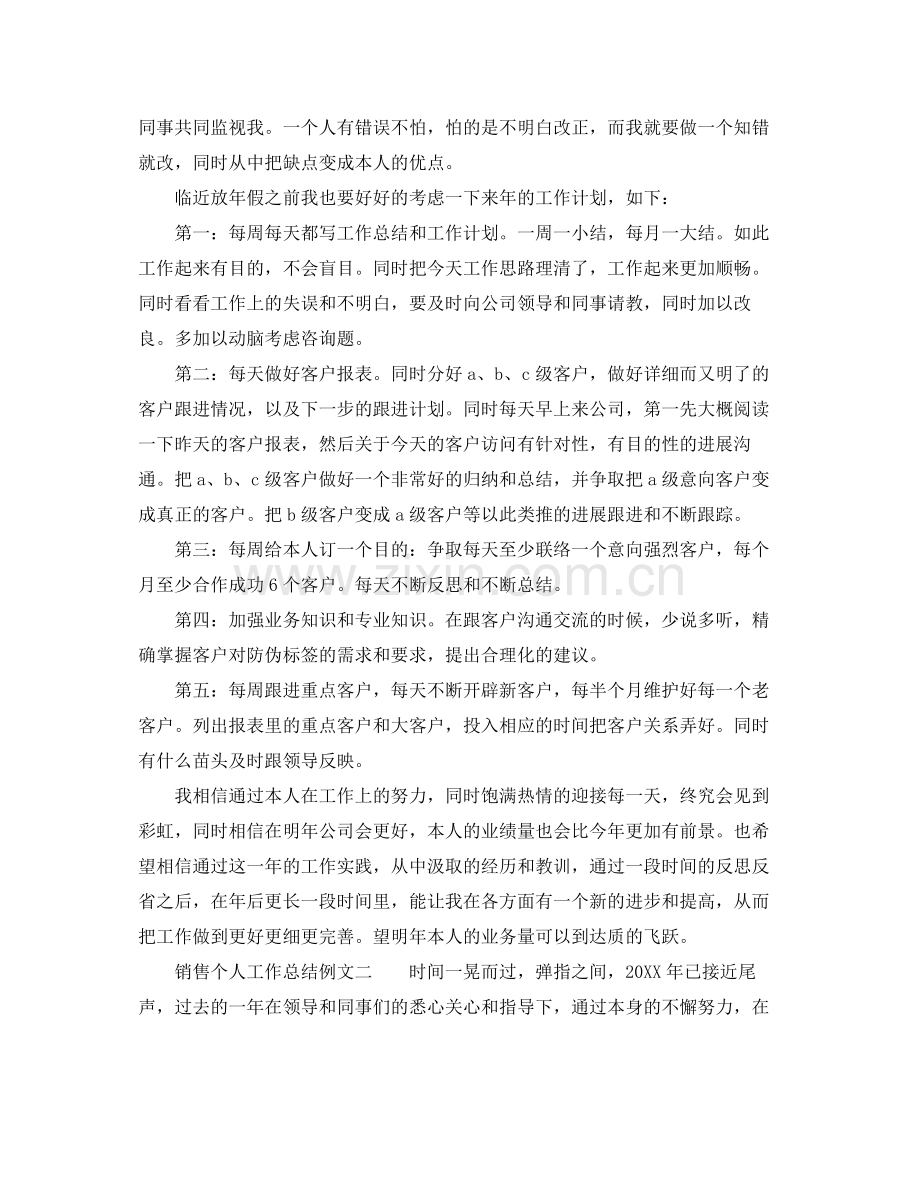 销售个人工作参考总结例文.docx_第2页