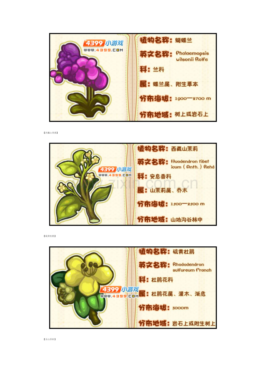 洛克王国莉莉丝和薇薇安的植物图鉴.doc_第1页