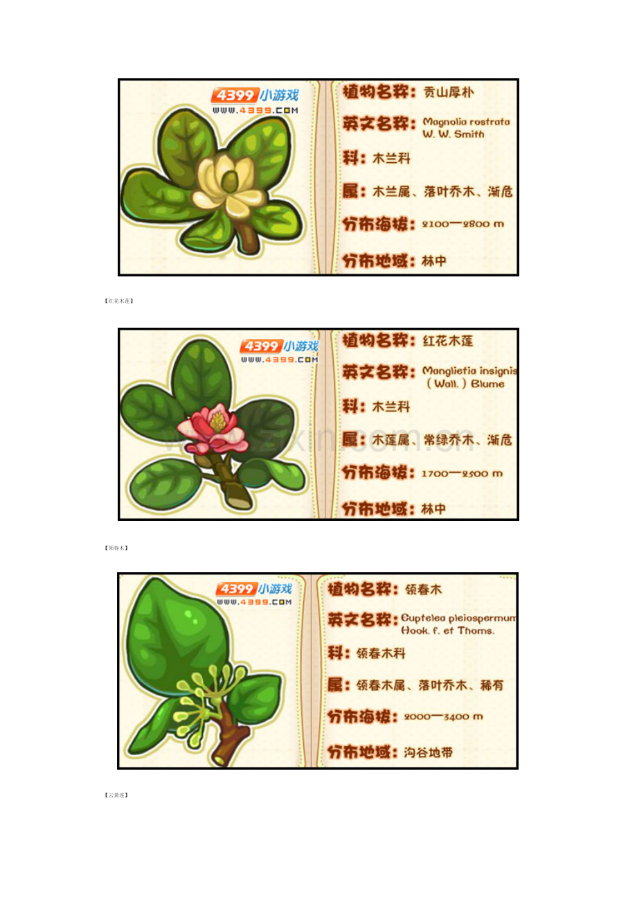 洛克王国莉莉丝和薇薇安的植物图鉴.doc_第2页