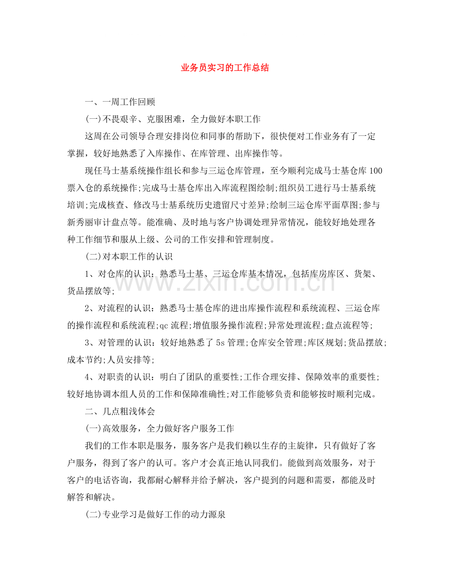 业务员实习的工作总结.docx_第1页