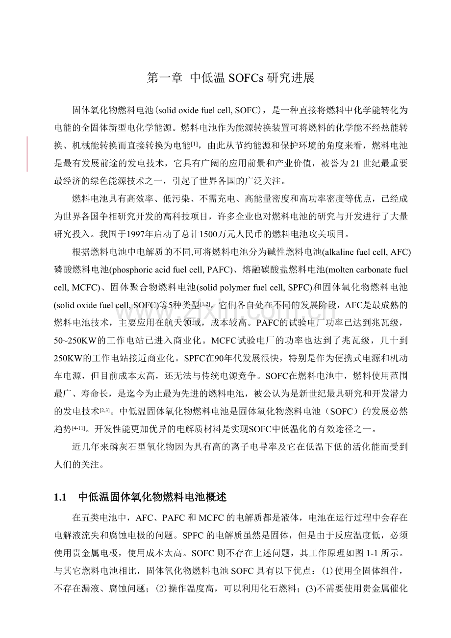 新型燃料电池第一章-ZM.doc_第1页