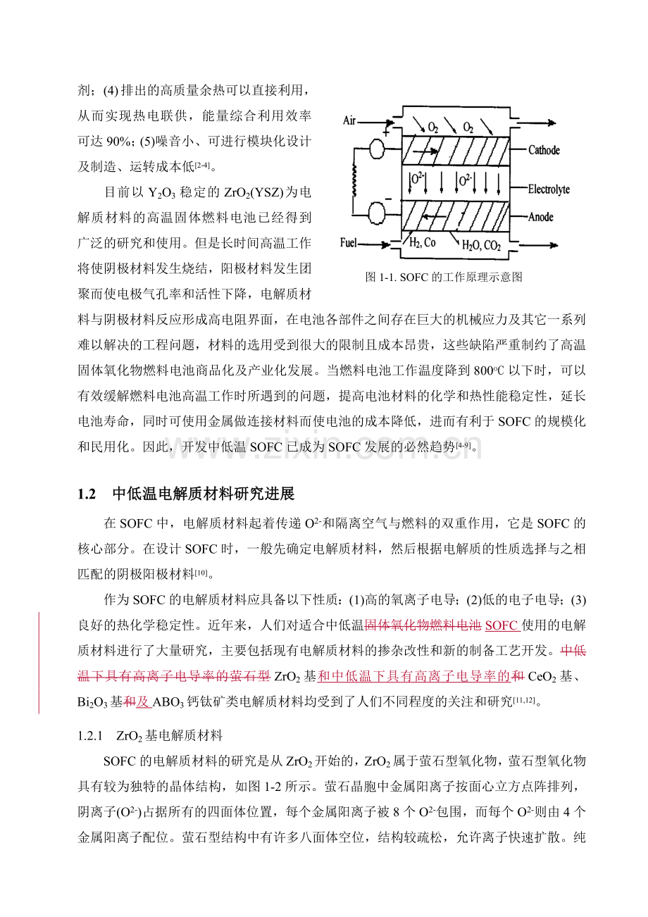 新型燃料电池第一章-ZM.doc_第2页