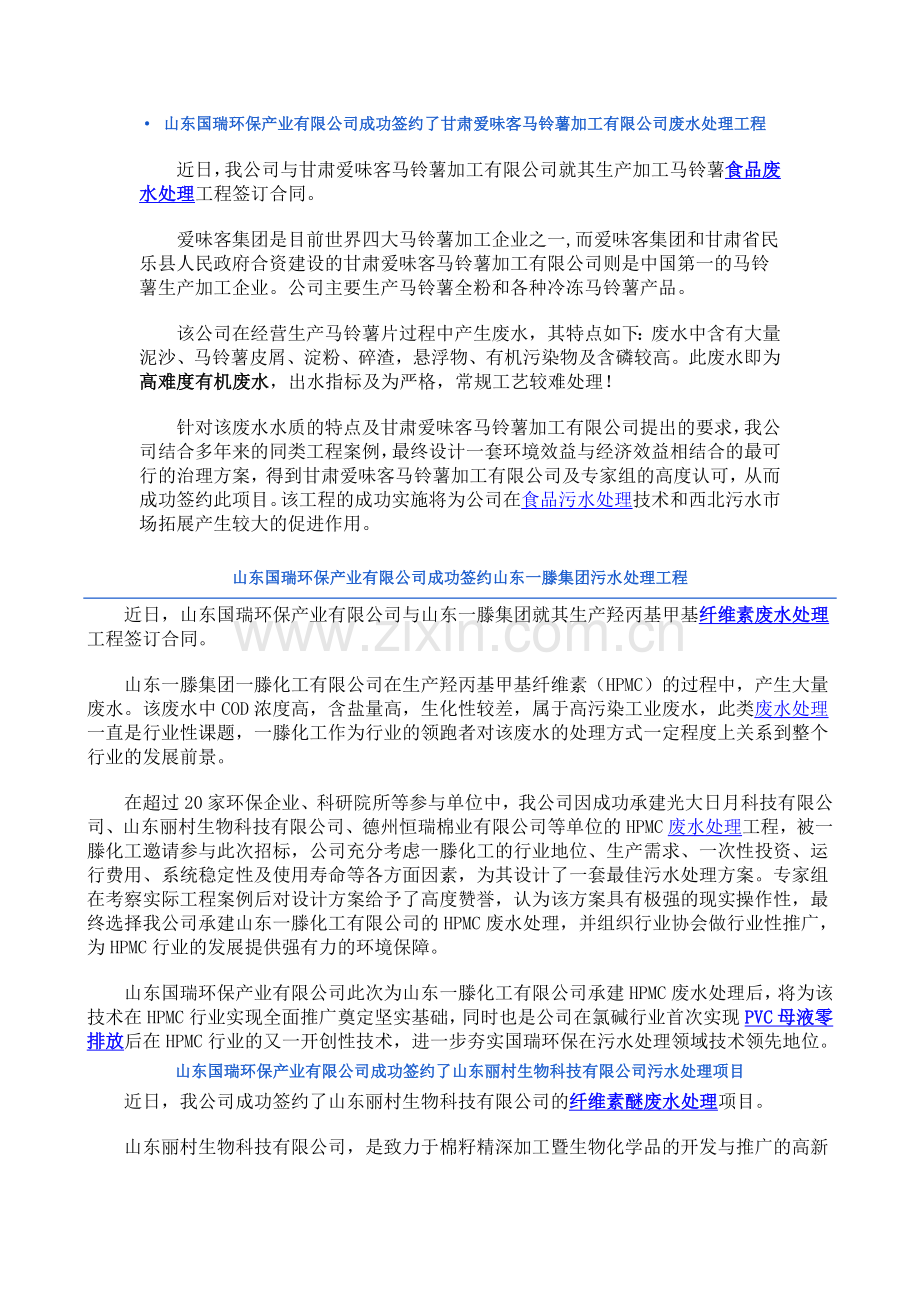 山东国瑞环保产业有限公司案例.docx_第1页