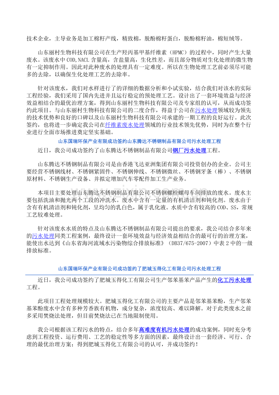 山东国瑞环保产业有限公司案例.docx_第2页
