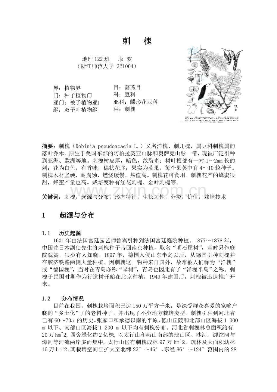 刺槐的相关研究.doc_第1页