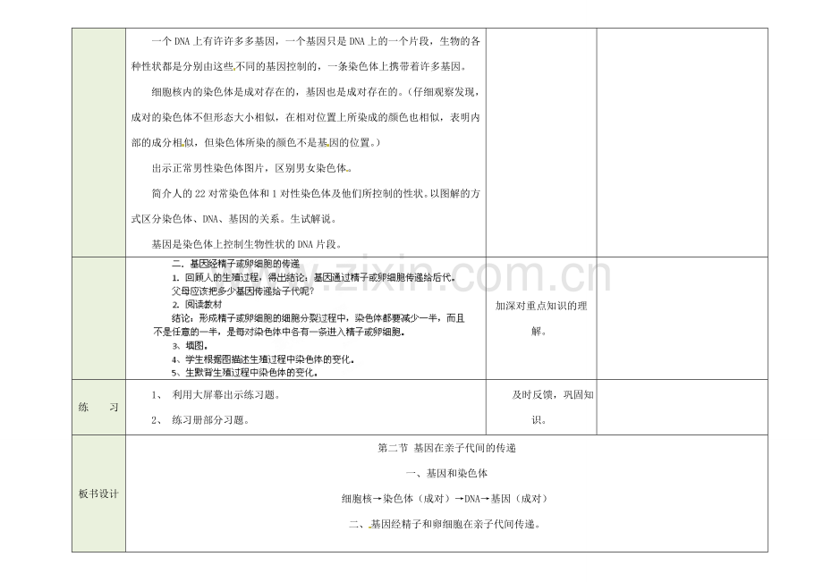 吉林省磐石市三棚中学八年级生物下册《基因在亲子代间的传递》教案 新人教版.doc_第2页
