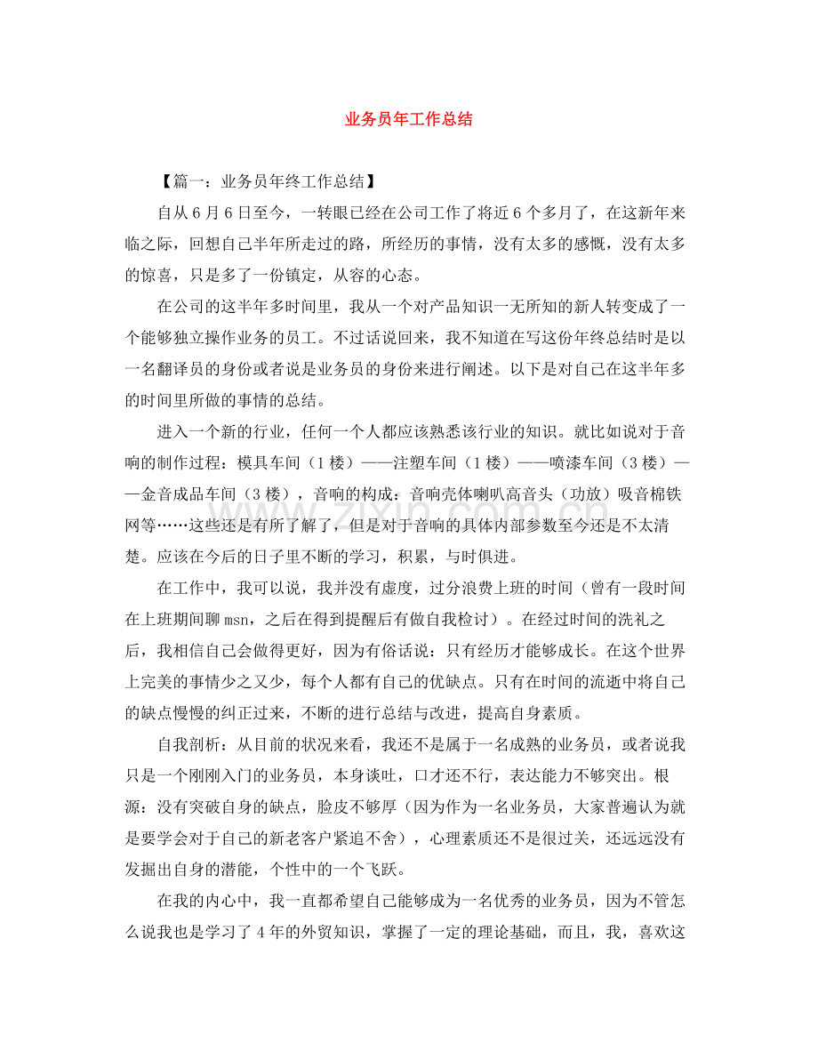 业务员年工作总结2.docx_第1页