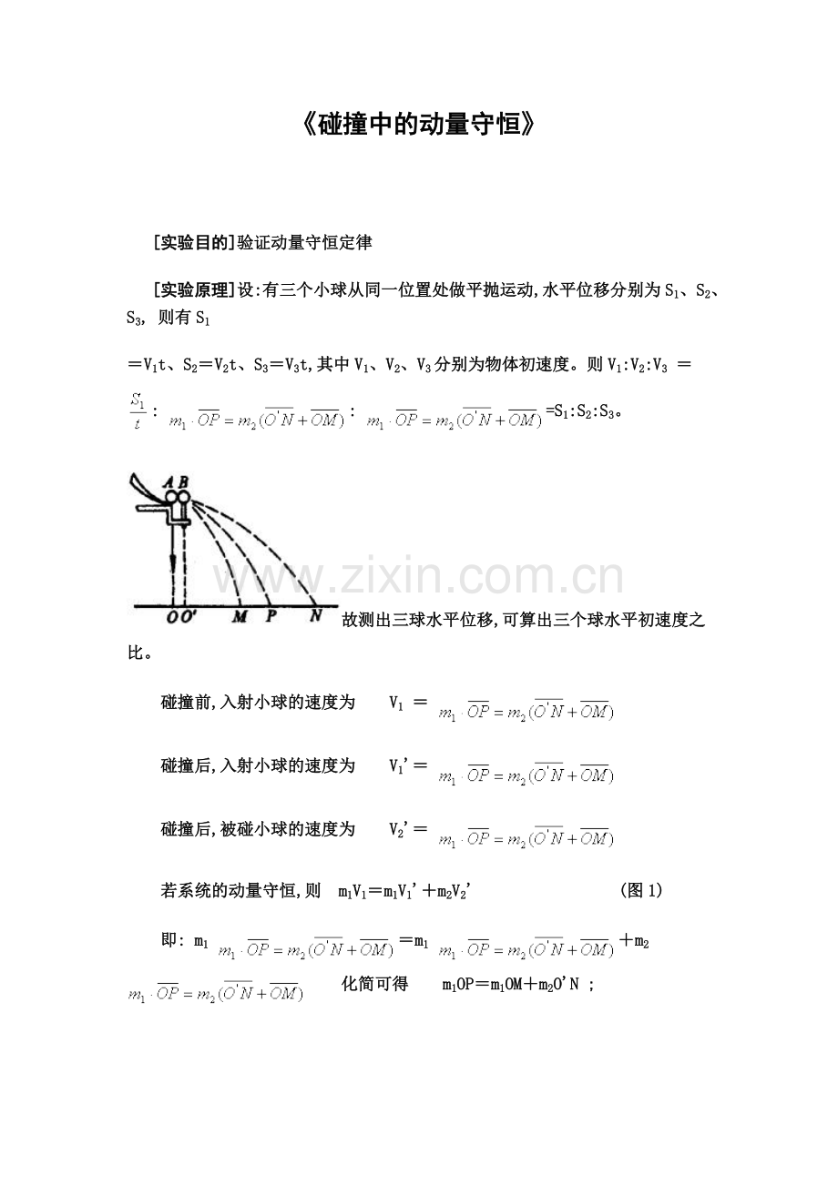 验证碰撞中的动量守恒.doc_第1页