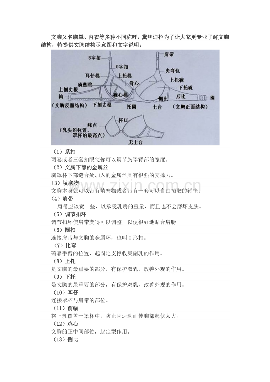 文胸示意图以及文字说明.doc_第1页