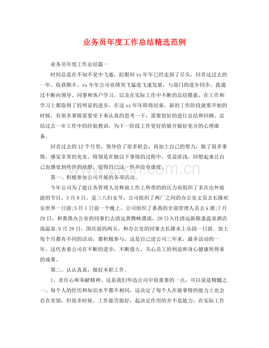 业务员年度工作总结范例 .docx_第1页