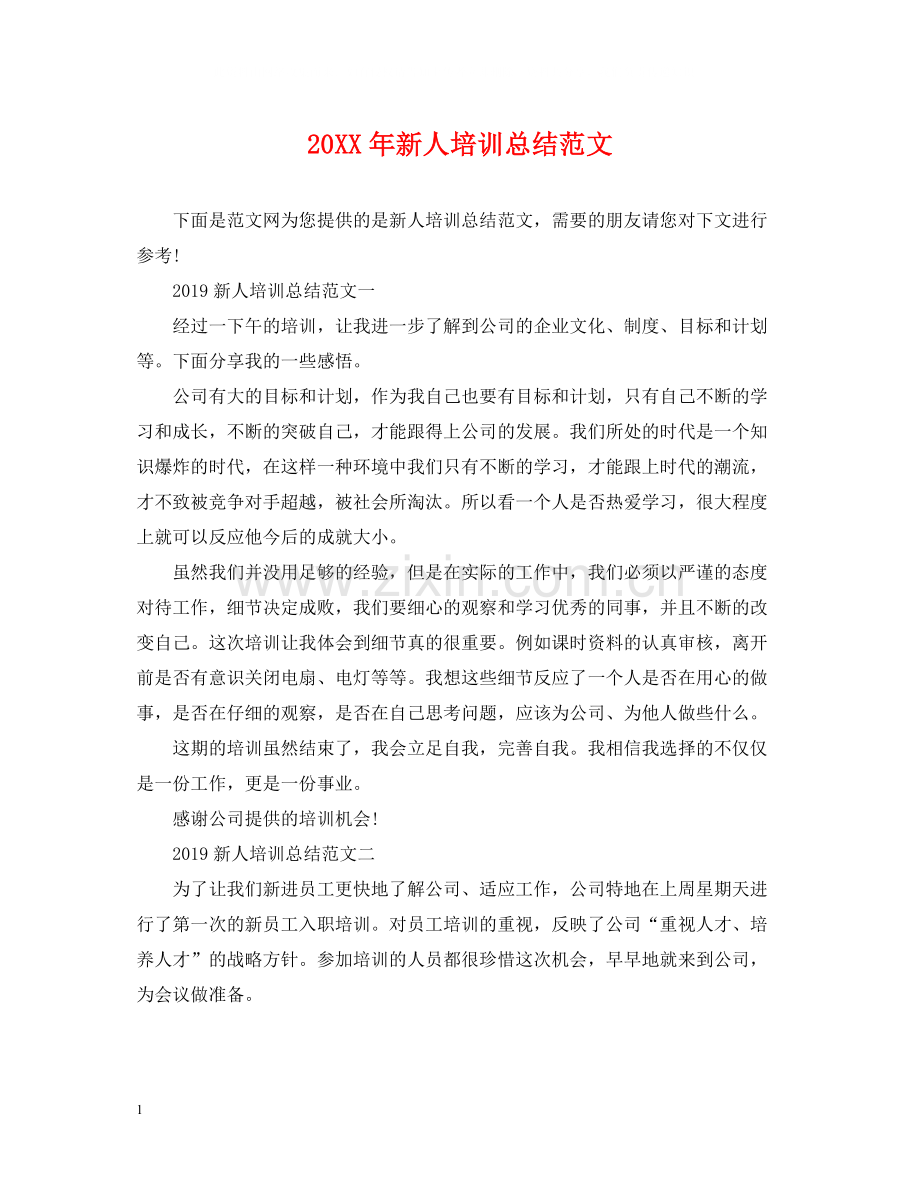 新人培训总结范文.docx_第1页