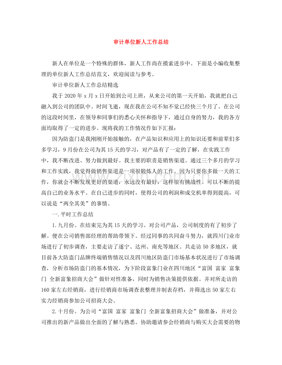 审计单位新人工作总结.docx_第1页
