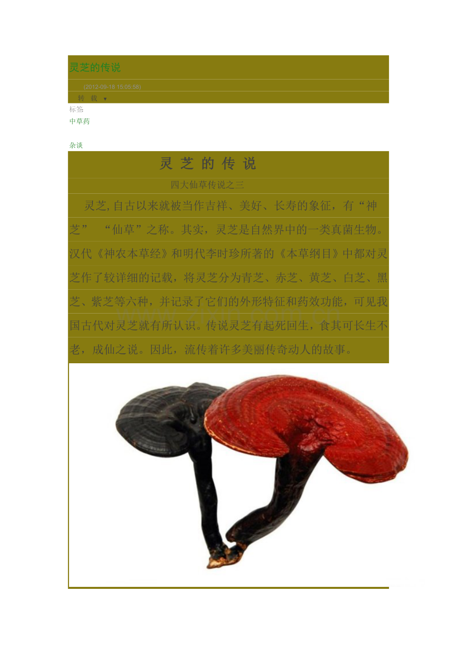 灵芝的传说.doc_第1页