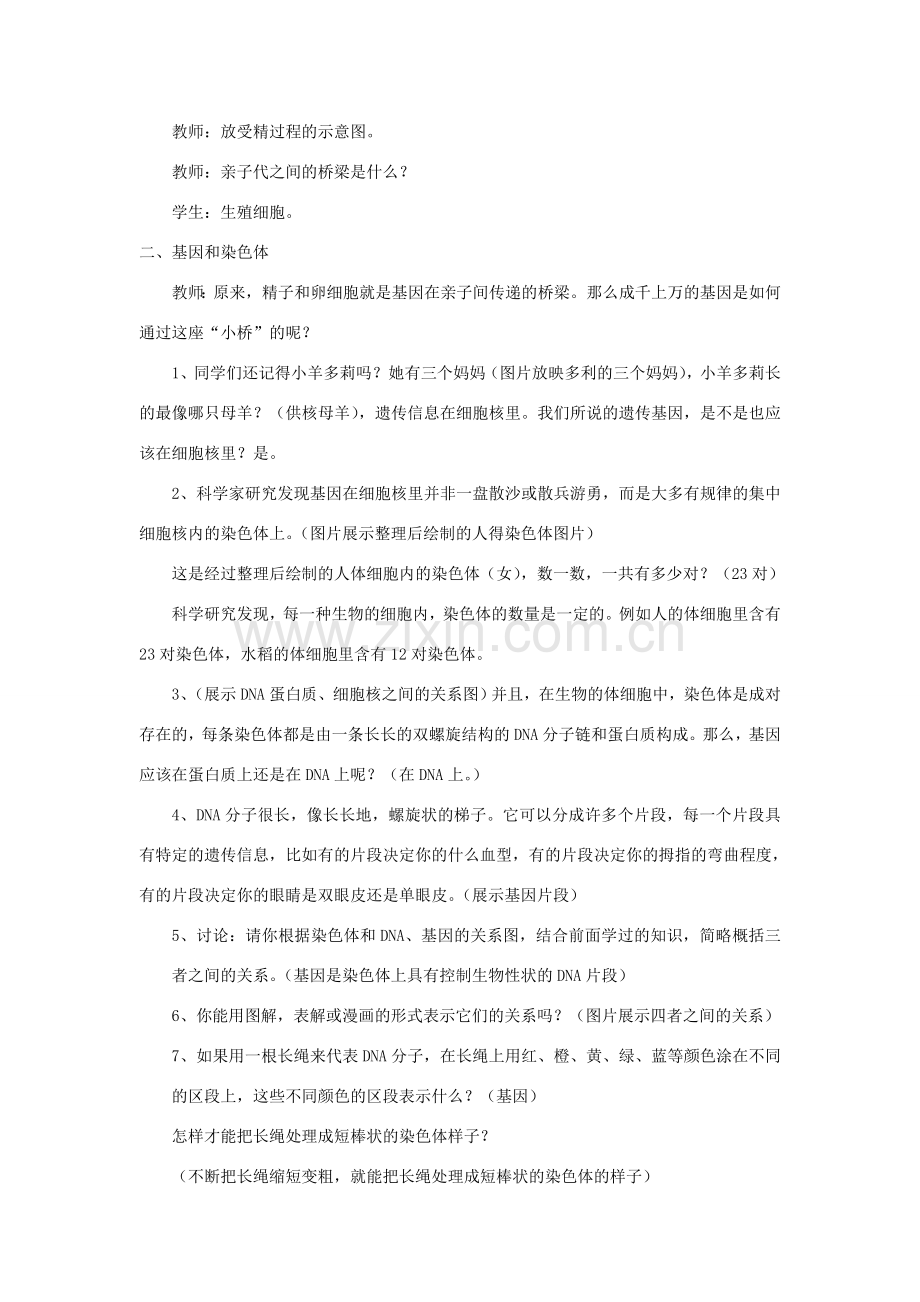 八年级生物下册 7.2.2 基因在亲子间的传递教案1 （新版）新人教版.doc_第2页