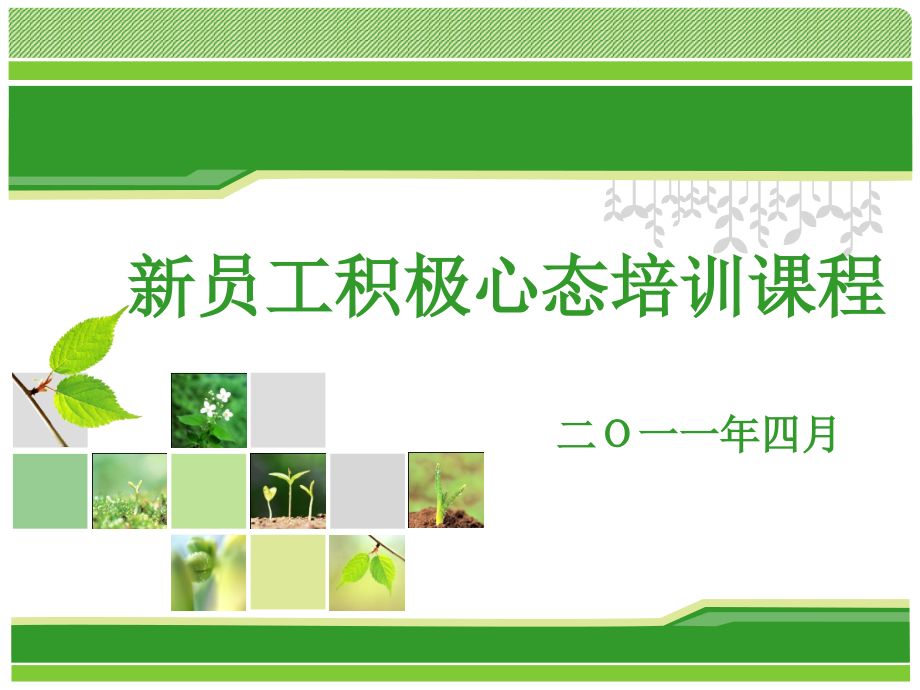 新员工分享.ppt_第1页