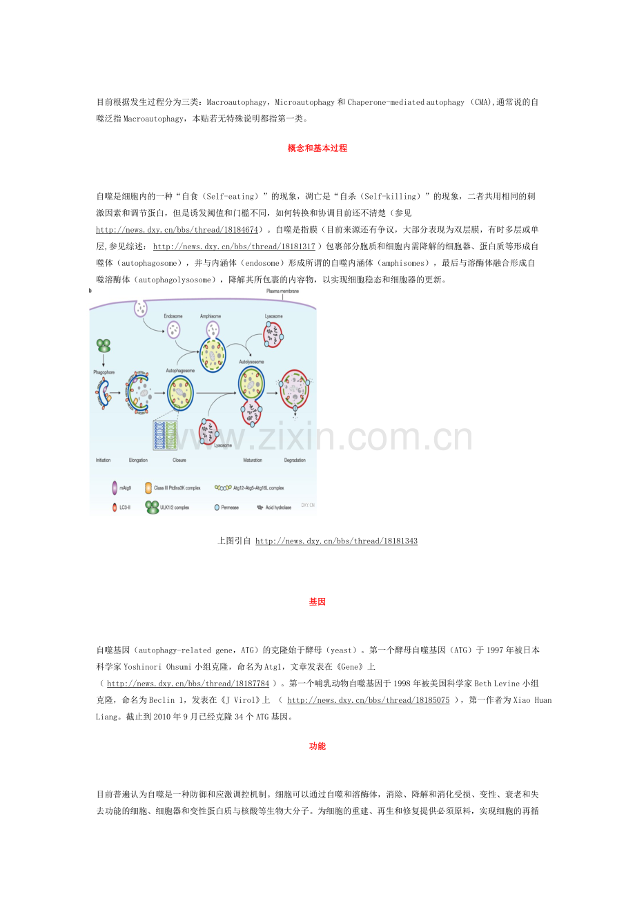 走进细胞自噬.doc_第2页